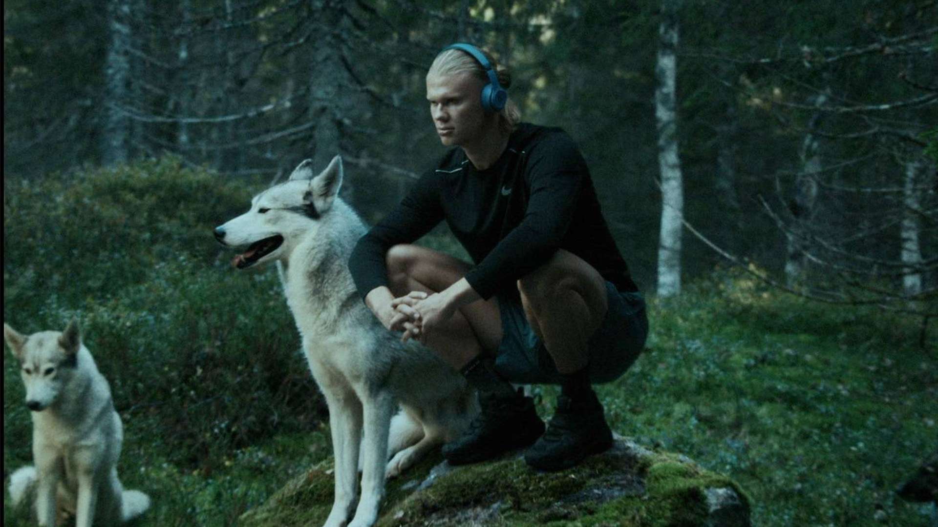 从巅峰跌落 从巅峰跌落