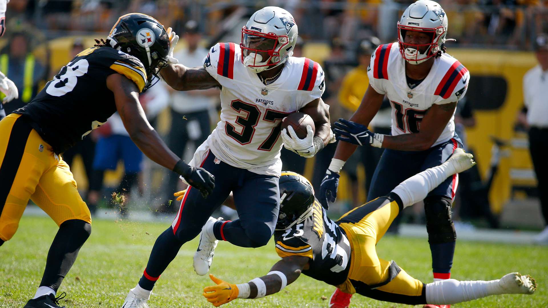 今年的泰山 今年的泰山